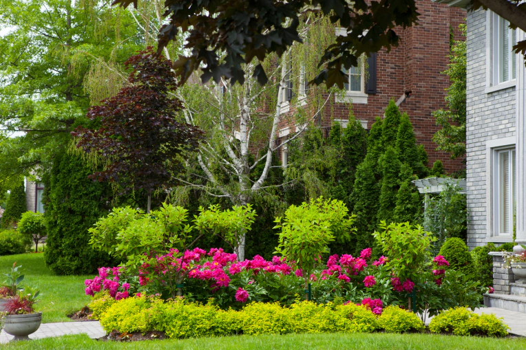 Landscaping Services In Bastrop, TX Landscaping Services In Bastrop, TX