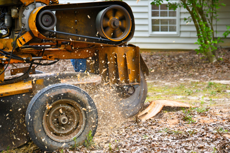 Stump Grinding Services In Bastrop, TX
