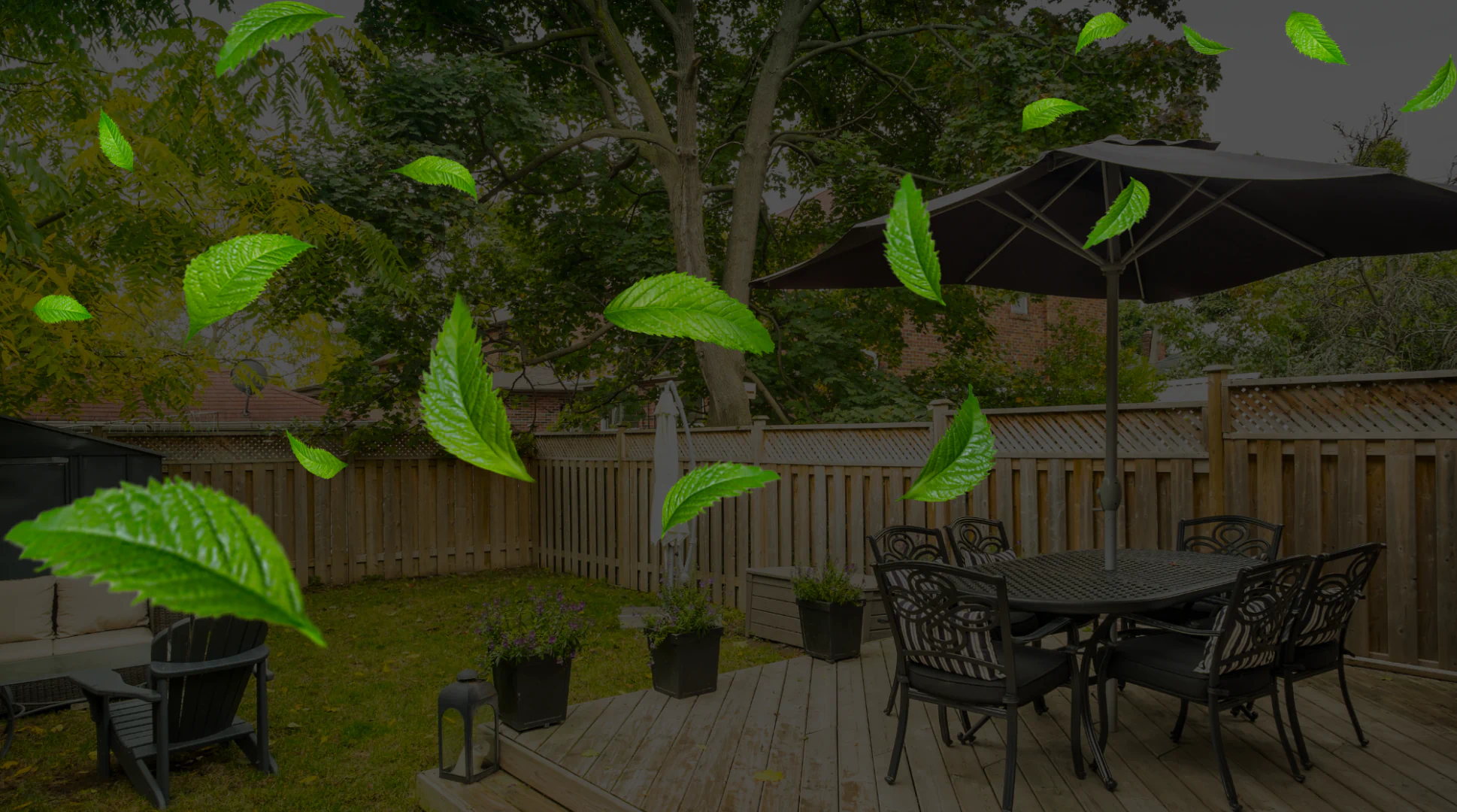 Tree Services In Bastrop, TX (10)